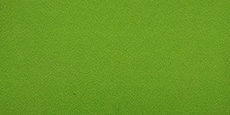Japan OK (Elastic Brushed) Fabric #20 Apple Green