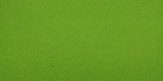 Japan OK (Elastic Brushed) Fabric #20 Apple Green