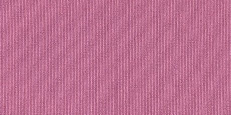 Spandex Neoprene Wetsuit Fabric