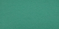 Yongsheng YOK (Elastic Brushed) Fabric #08 Light Green