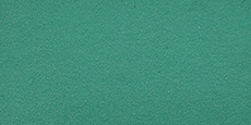 Yongsheng YOK (Elastic Brushed) Fabric #08 Light Green