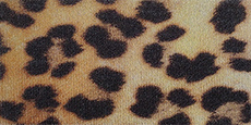 Yongsheng YOK (Elastic Brushed) Fabric #16 Printed Camouflage